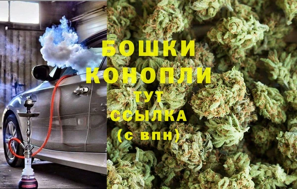 эйфоретик Гусь-Хрустальный