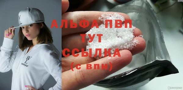 эйфоретик Гусь-Хрустальный