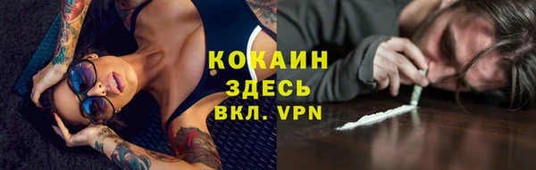 СК Гусев