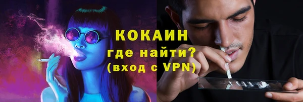 эйфоретик Гусь-Хрустальный