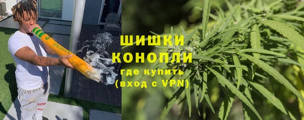 СК Гусев