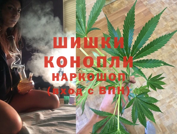 эйфоретик Гусь-Хрустальный