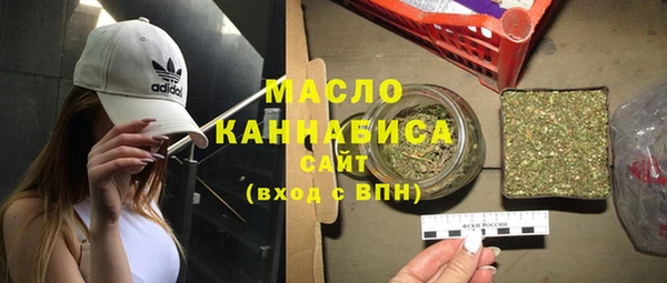 эйфоретик Гусь-Хрустальный