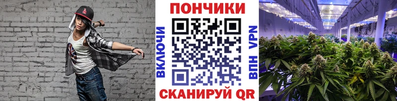 Бошки марихуана сатива  Братск 